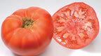 Ancient Tomato Seeds - Marmande