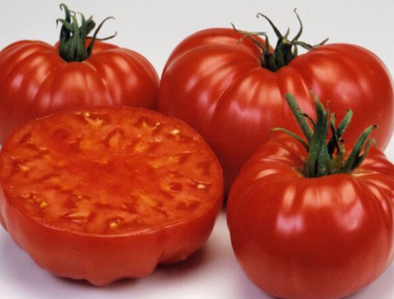 Ancient Tomato Seeds - Marmande