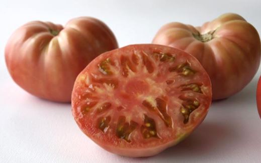 Ancient Tomato Seeds - Moruno de Aranjuez