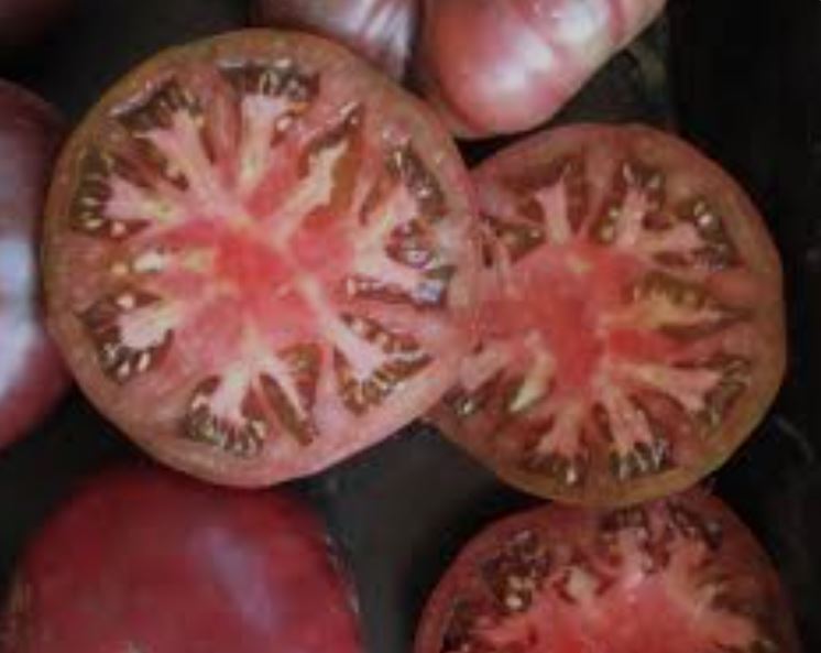 Old Tomato Seeds - Negro Segureño