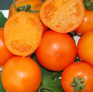 Semillas Tomate Antiguo - Orange Queen