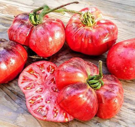 Semillas Tomate Antiguo - Pink Siberian Tiger