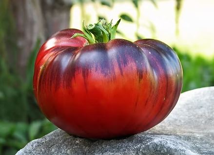 Semillas Tomate Antiguo - Pink Siberian Tiger