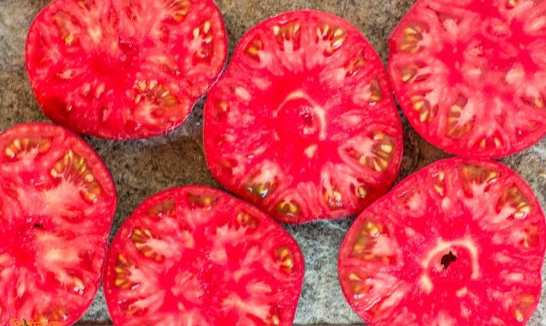 Semillas Tomate Antiguo - Pink Siberian Tiger