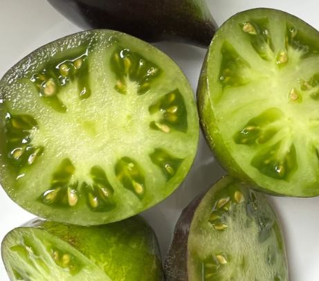 Ancient Tomato Seeds - Rebel Starfighter Prime