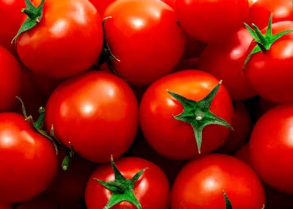 Old Tomato Seeds - Island Red