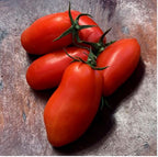 Old-Fashioned Tomato Seeds - Big Rainbow