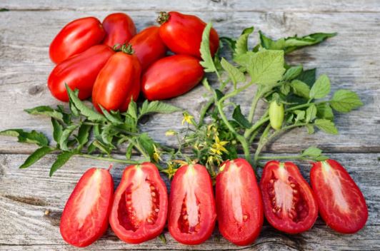 Old-Fashioned Tomato Seeds - Big Rainbow