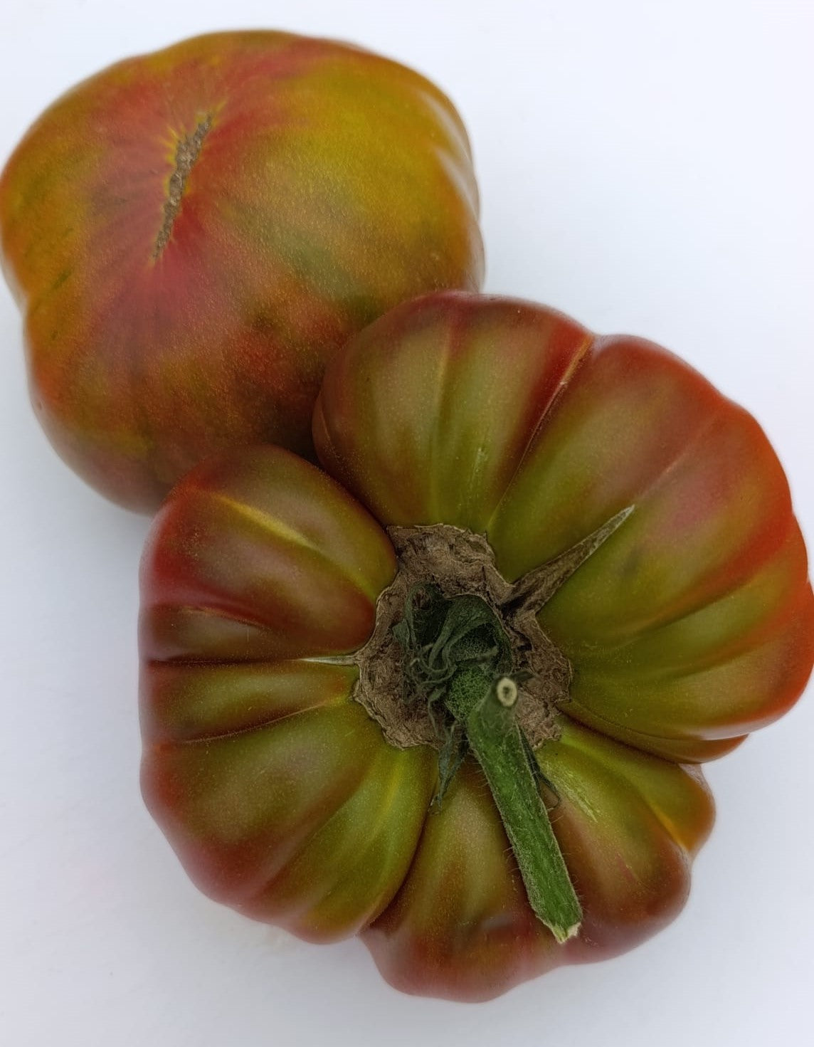 Semillas Tomate Antiguo - Señorío de la Vega