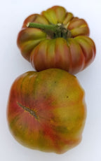 Semillas Tomate Antiguo - Señorío de la Vega